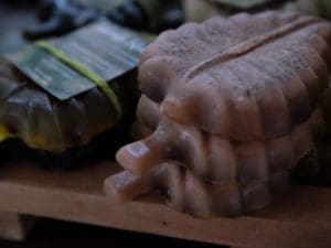 thumb29-startup-pará-2022